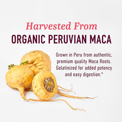 Rekindl Maca Root Capsules